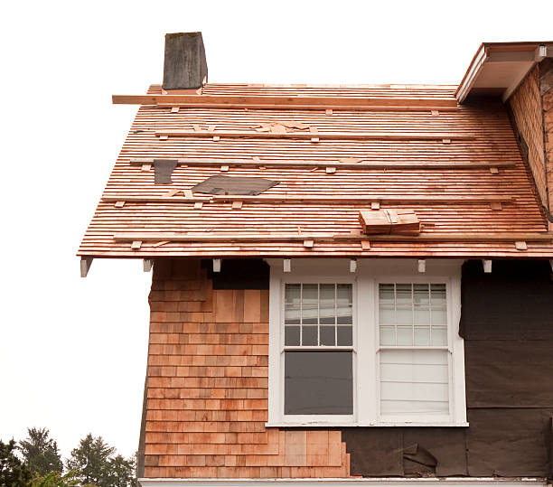 Affordable Siding Repair and Maintenance Services in Benton, IL